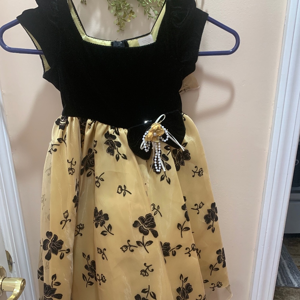 My Cotton Candy Formal Toddler size 4.  Beautiful dress with velvet top.